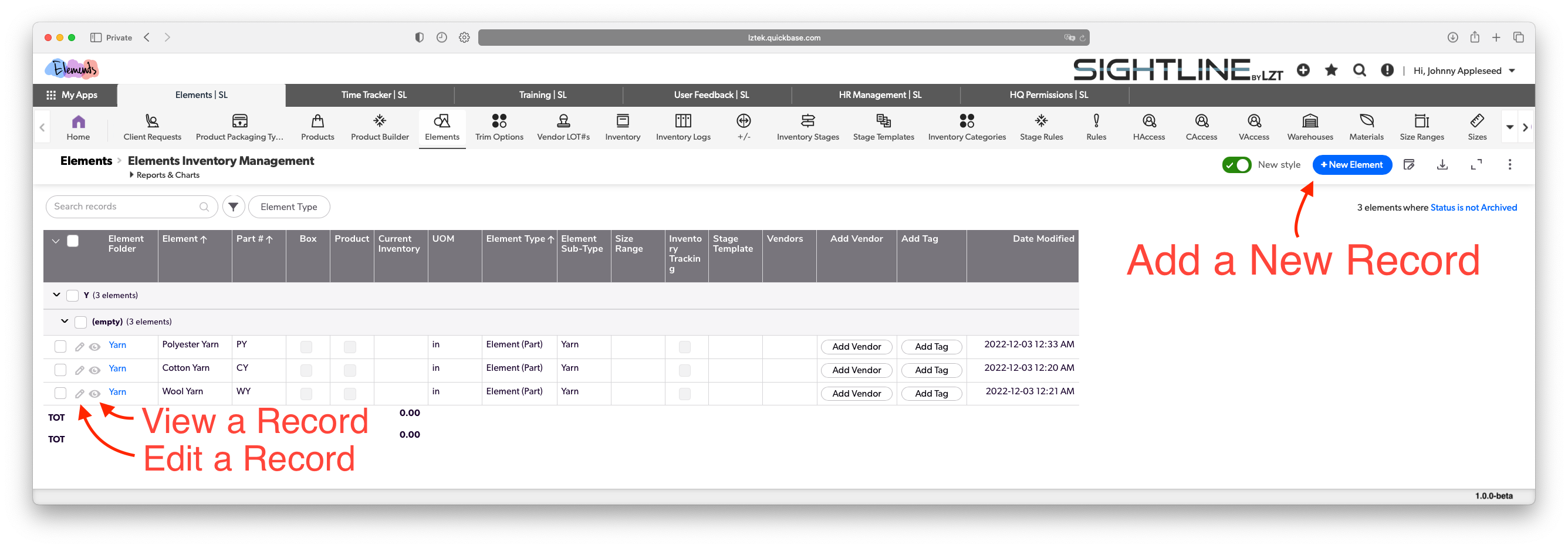 New, Edit, View Record